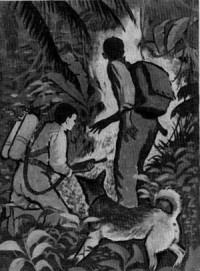 Новичок в космосе