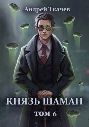 Андрей Ткачев - Князь шаман. Книга 6