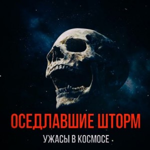 Виктор Лугинин,   - Оседлавшие шторм