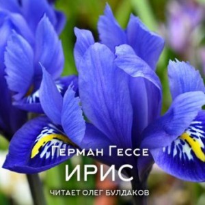 Герман Гессе - Ирис
