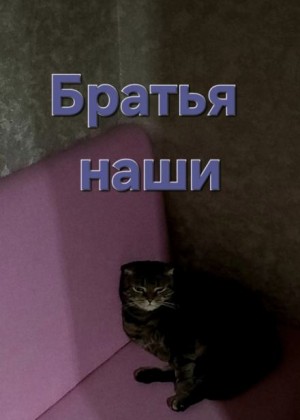 Светоч  - Братья наши