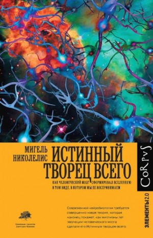 Мигель Николелис - Истинный творец всего. Как человеческий мозг сформировал вселенную в том виде, в котором мы ее воспринимаем