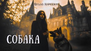 Буало-Нарсежак  - Собака