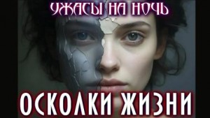 Мэтт Димерски - Осколки жизни