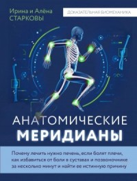 Анатомические меридианы. Почему лечить нужно печень, если болят плечи, как избавиться от боли в суст