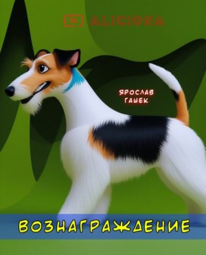 Ярослав Гашек - Вознаграждение