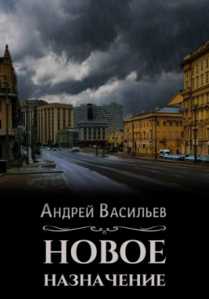 Андрей Васильев - Новое назначение