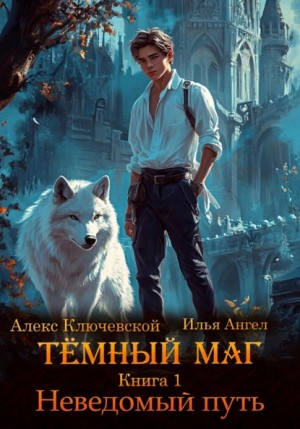 Алекс Ключевской (Лёха), Илья Ангел - Тёмный маг. Книга 1. Неведомый путь