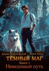 Алекс Ключевской (Лёха), Илья Ангел - Тёмный маг. Книга 1. Неведомый путь