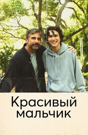 Шефф Дэвид - Красивый мальчик. Правдивая история отца, который боролся за сына