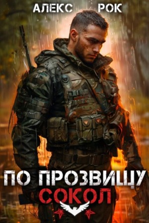 Алекс Рок - По прозвищу «Сокол». Том 1