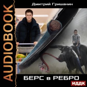 Дмитрий Гришанин - Берс – 1. Берс в ребро