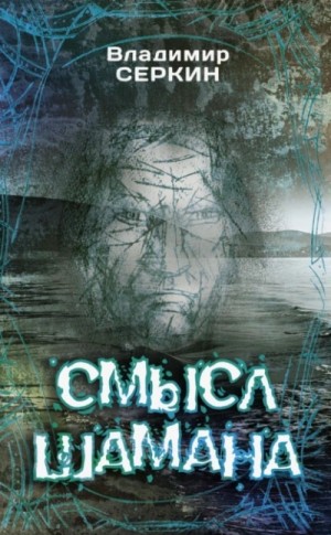 Владимир Серкин - Смысл шамана