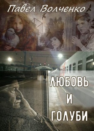 Павел Волченко,   - Любовь и голуби