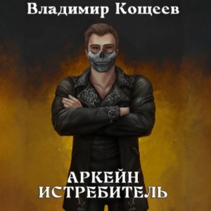 Владимир Кощеев - Аркейн. Истребитель
