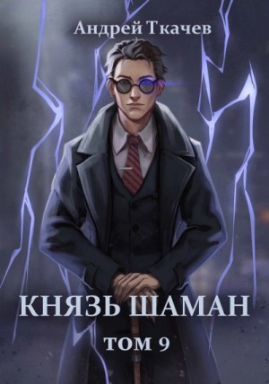 Андрей Ткачев - Князь шаман. Книга 9