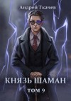 Андрей Ткачев - Князь шаман. Книга 9
