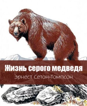 Эрнест Сетон-Томпсон - Жизнь серого медведя