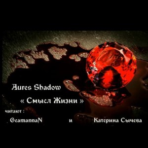 Aures Shadow - Смысл жизни