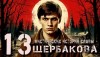 Алексей Константинов - 13 мистических историй Славы Щербакова
