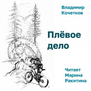 Владимир Кочетков - Плёвое дело