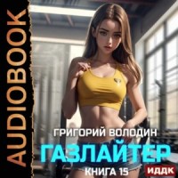 Газлайтер. Книга 15
