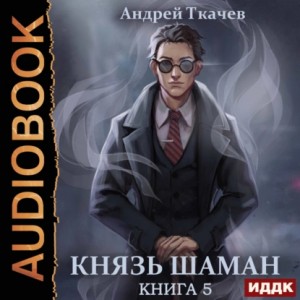 Андрей Ткачев - Князь шаман. Книга 5