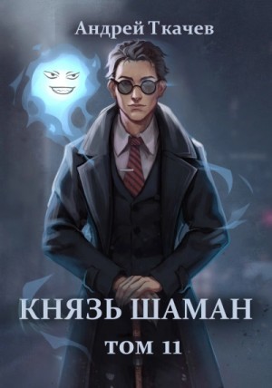 Андрей Ткачев - Князь шаман. Книга 11