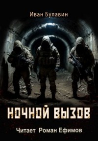 Ночной вызов