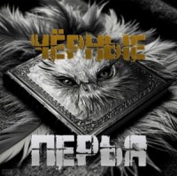 Чёрные перья