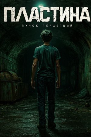 Пучок Перцепций - Пластина