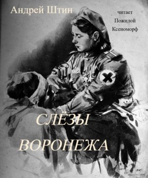Андрей Штин,   - Слёзы Воронежа