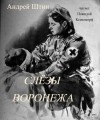 Андрей Штин,   - Слёзы Воронежа