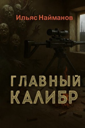 Ильяс Найманов - Главный калибр