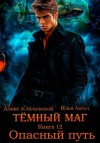 Алекс Ключевской (Лёха), Илья Ангел - Тёмный маг. Книга 12. Опасный путь