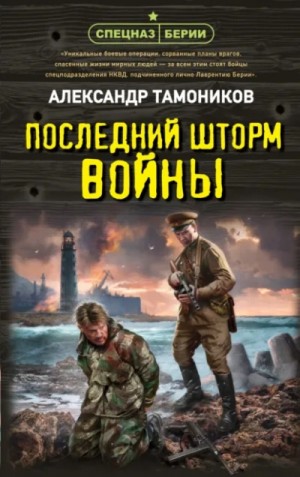 Александр Тамоников - Последний шторм войны