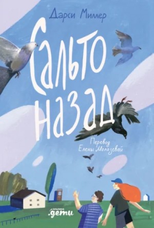 Дарси Миллер - Сальто назад