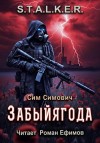 Сим Симович - S.T.A.L.K.E.R. Забыйягода