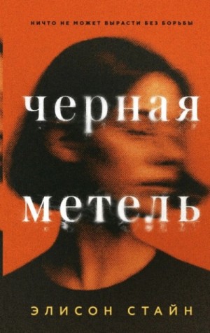 Элисон Стайн - Черная метель