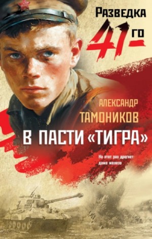 Александр Тамоников - В пасти «тигра»