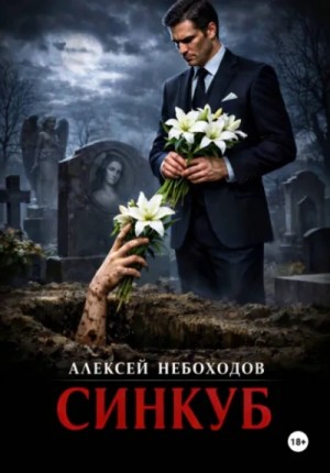 Алексей Небоходов - Синкуб