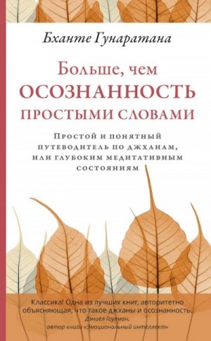 Бханте Хенепола Гунаратана - Больше, чем осознанность простыми словами. Простой и понятный путеводитель по джханам, или глубоким