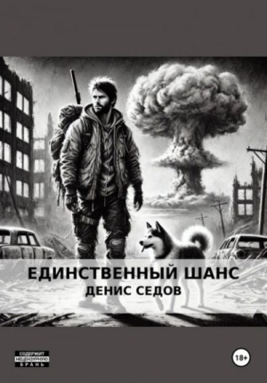 Денис Седов - Единственный шанс
