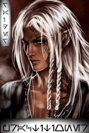 Рейдер  - Практик