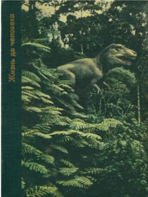 Питер Вуд - Жизнь до человека