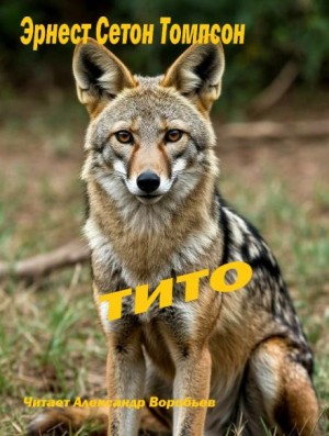 Эрнест Сетон-Томпсон - Тито