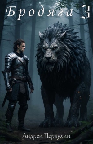 Андрей Первухин - Бродяга. Книга 3
