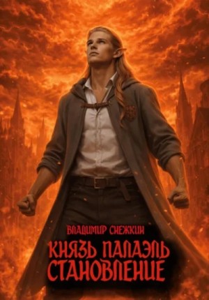 Владимир Снежкин - Становление