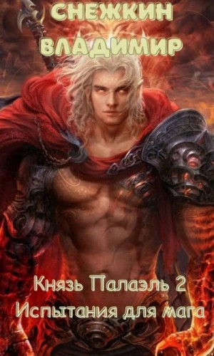 Владимир Снежкин - Испытания для мага