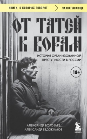 Александр Воробьев, Александр Евдокимов - От татей к ворам. История организованной преступности в России